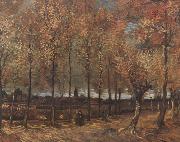 Vincent Van Gogh Lane with Poplars (nn04) painting